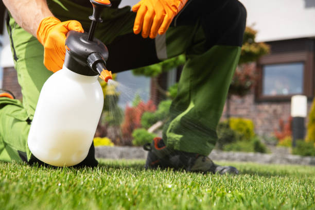Best Pest Control for Homes  in Brookfield Center, OH