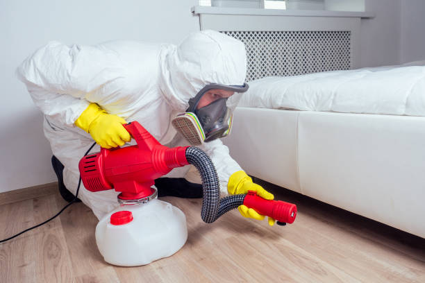 Best Exterminator Services  in Brookfield Center, OH