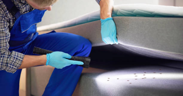 Best Pest Control Near Me  in Brookfield Center, OH